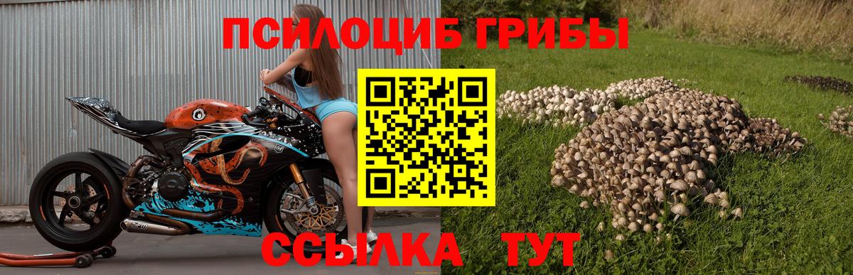 Галлюциногенные грибы ЛСД Ливны
