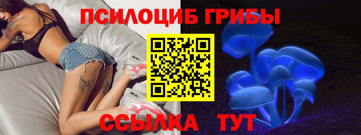 Псилоцибиновые грибы Psilocybine cubensis  Вход с VPN  купить наркотик  Ливны 